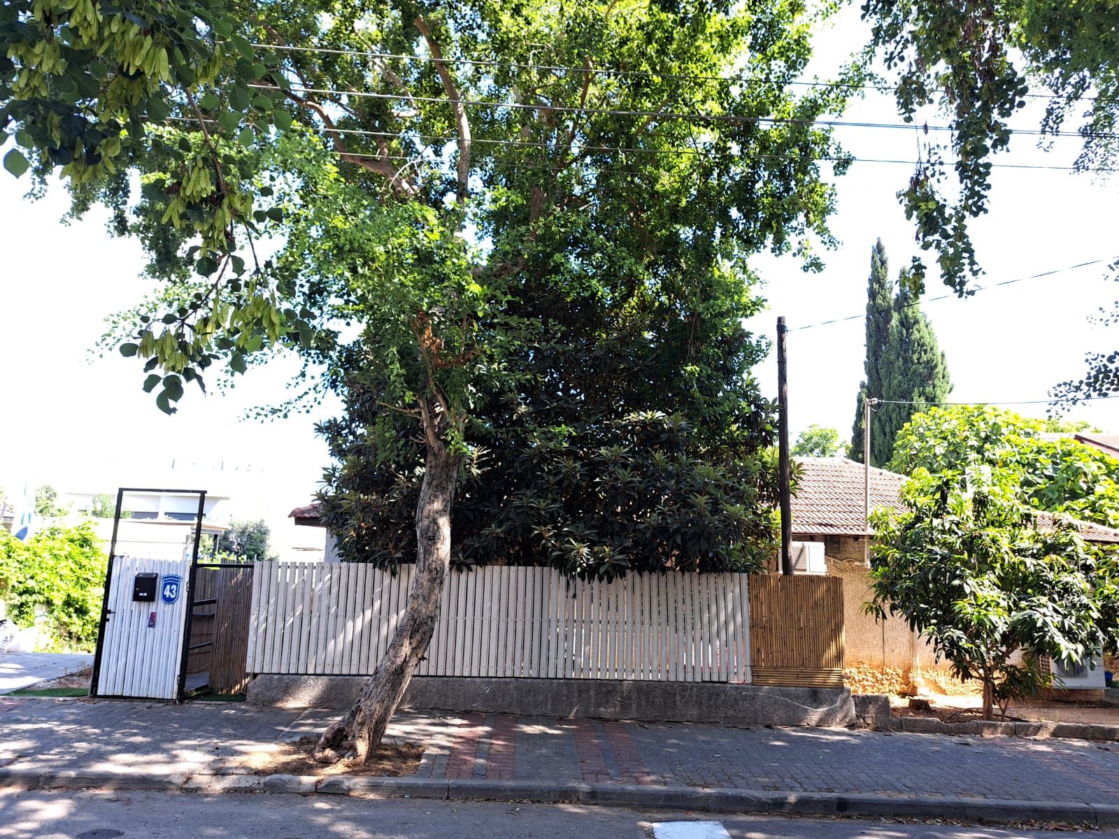 בורוכוב - 4