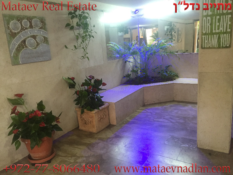 מרגנית - 3