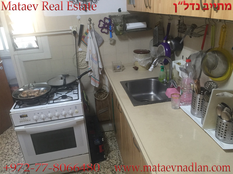 מרגנית - 5