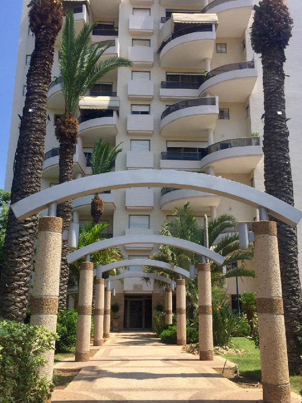 תנועות הנוער - 4