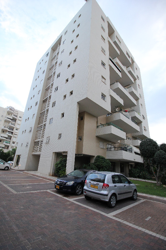 הצופים - 3