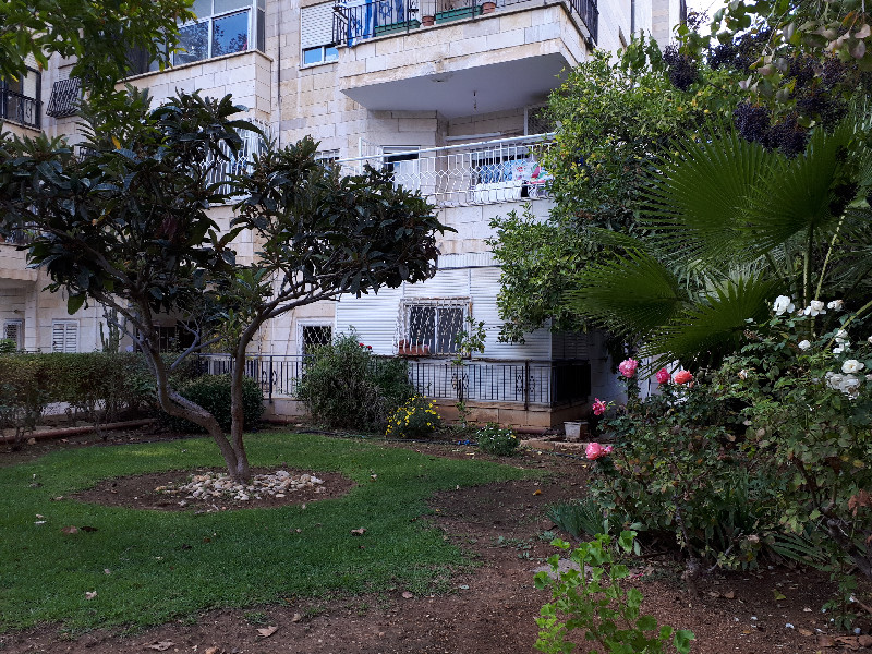 בני בתירא  - 8