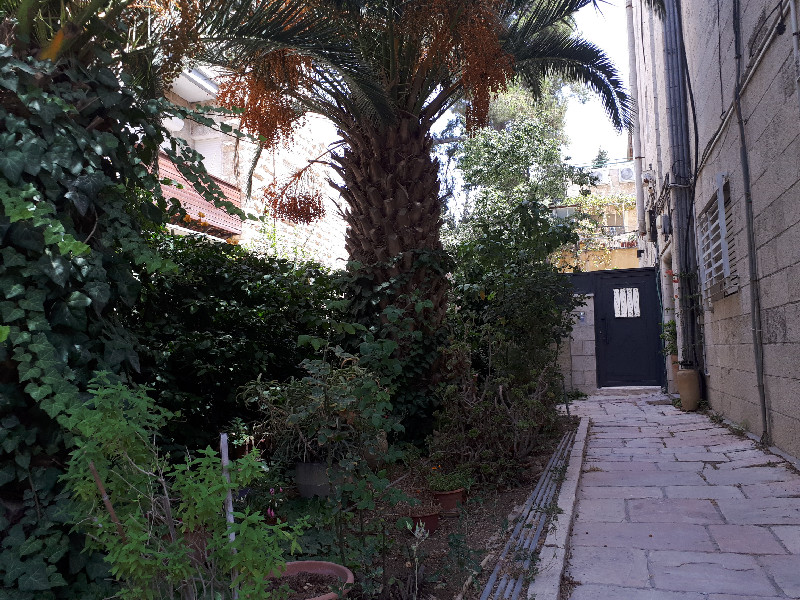 לוי - 5