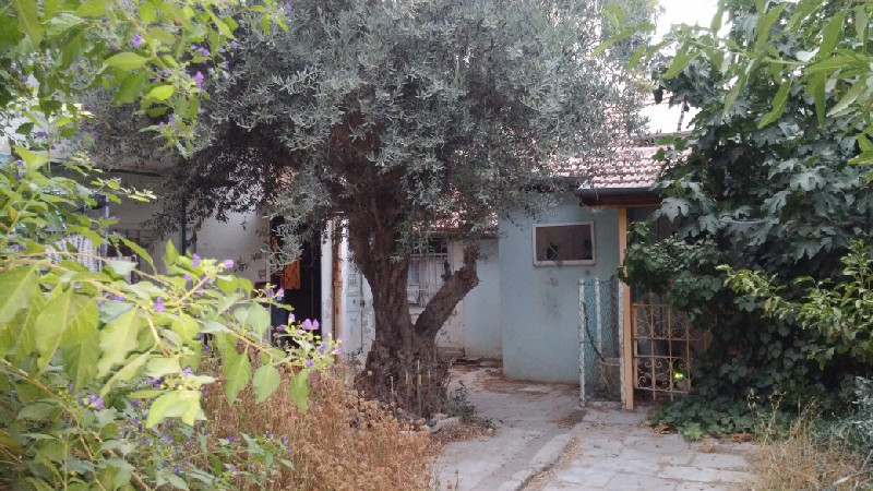 זרובבל - 2