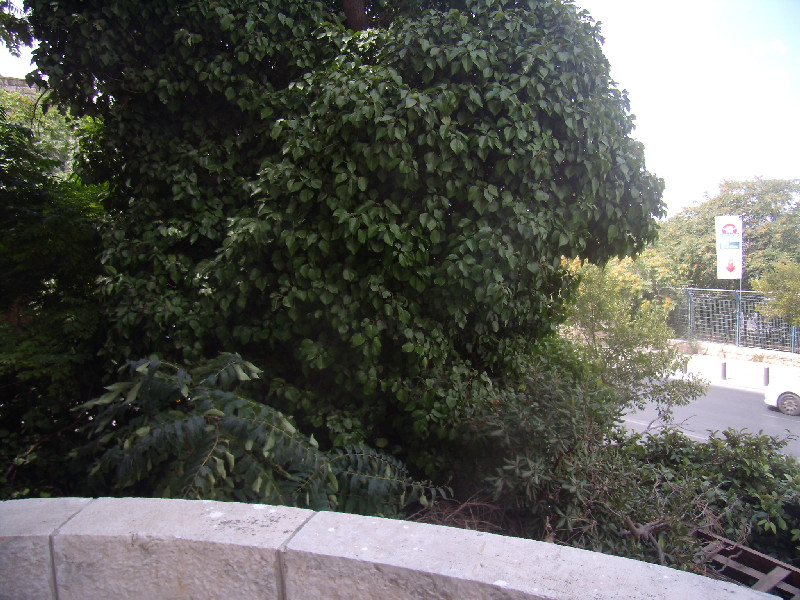 דרך חברון - 2