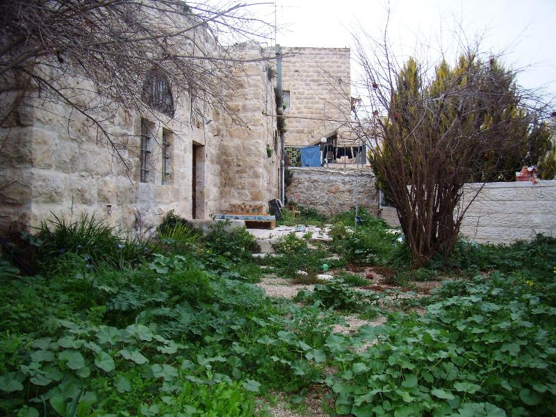 מלחה - 5