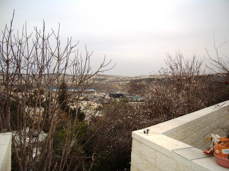 מלחה - 8