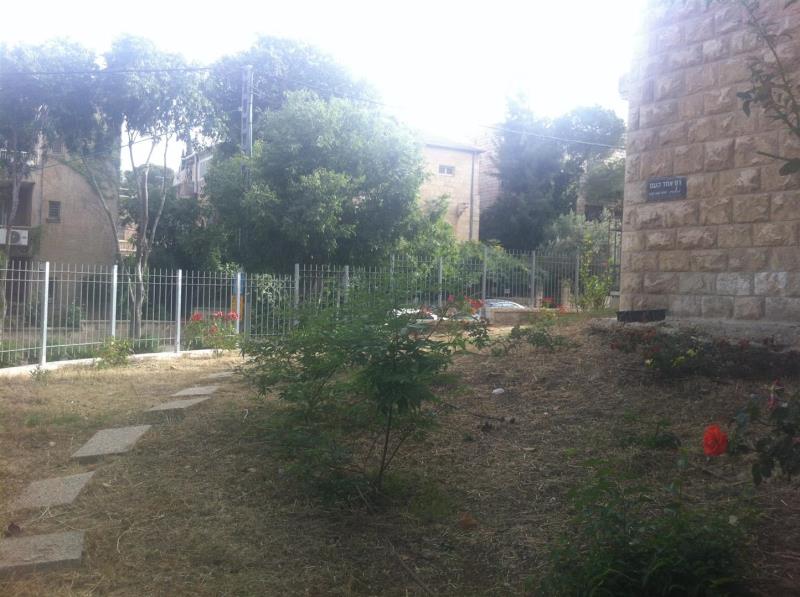 אחד העם - 4