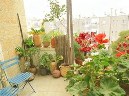 יורדי הסירה - 6