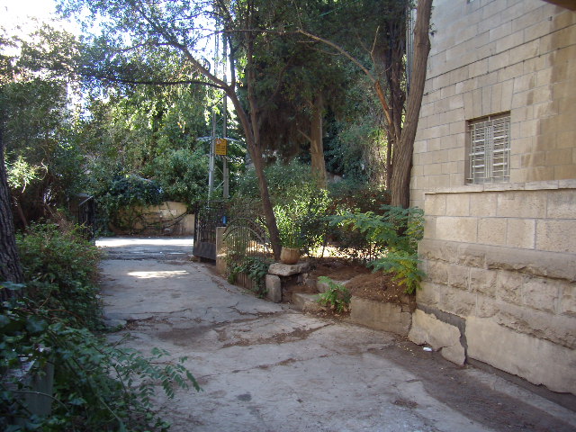 וינדהם דידס - 3