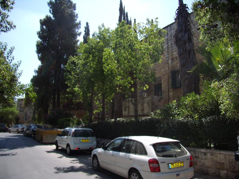 אברבנאל - 14