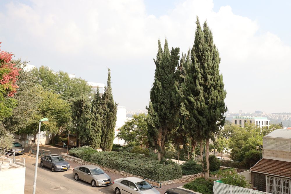 כרמל - 2