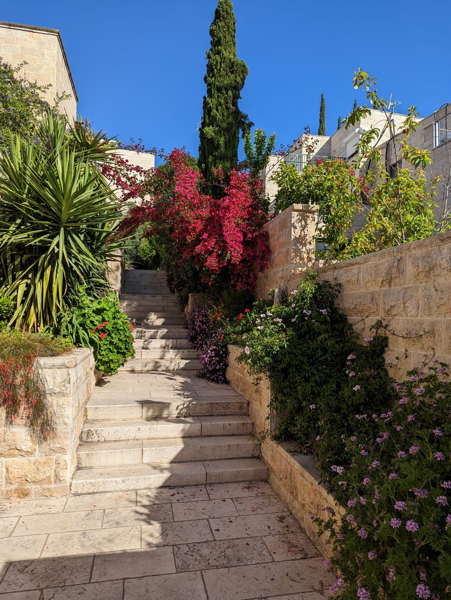 הכפיר - 9