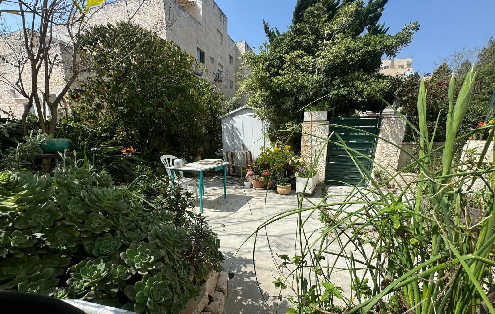 כרמל - 3