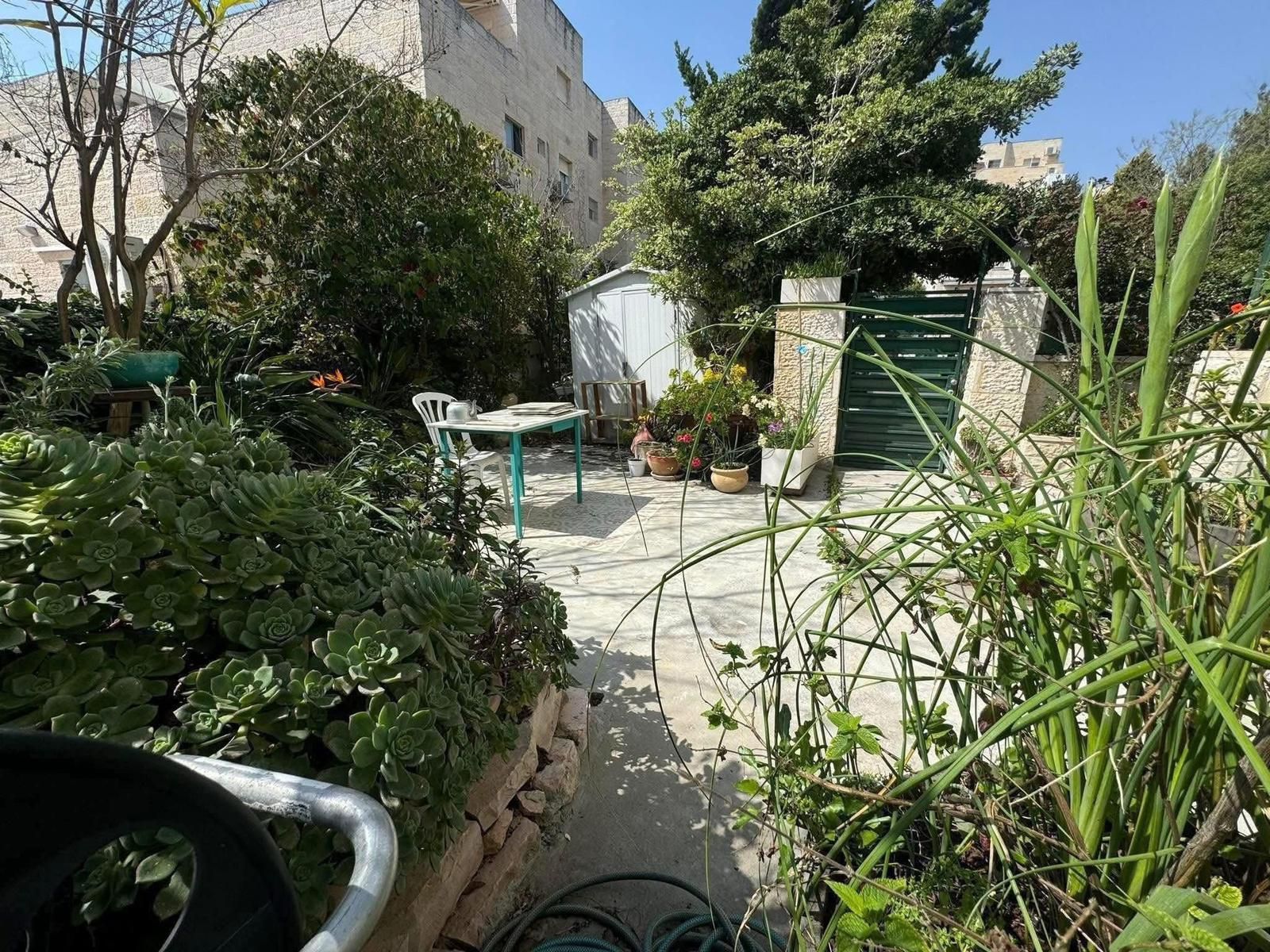 כרמל - 6