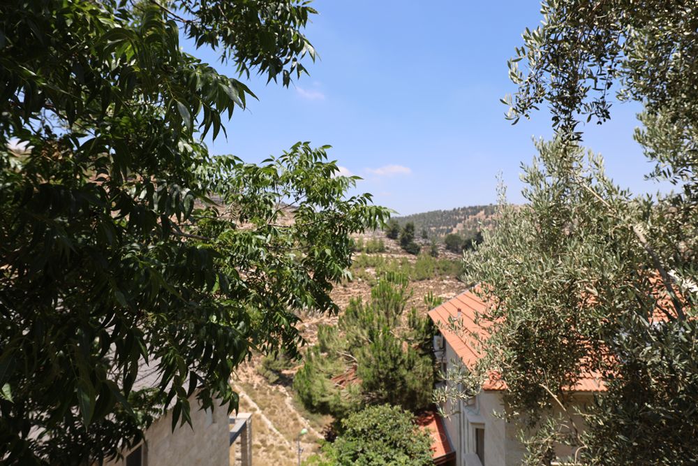ברקת - 2