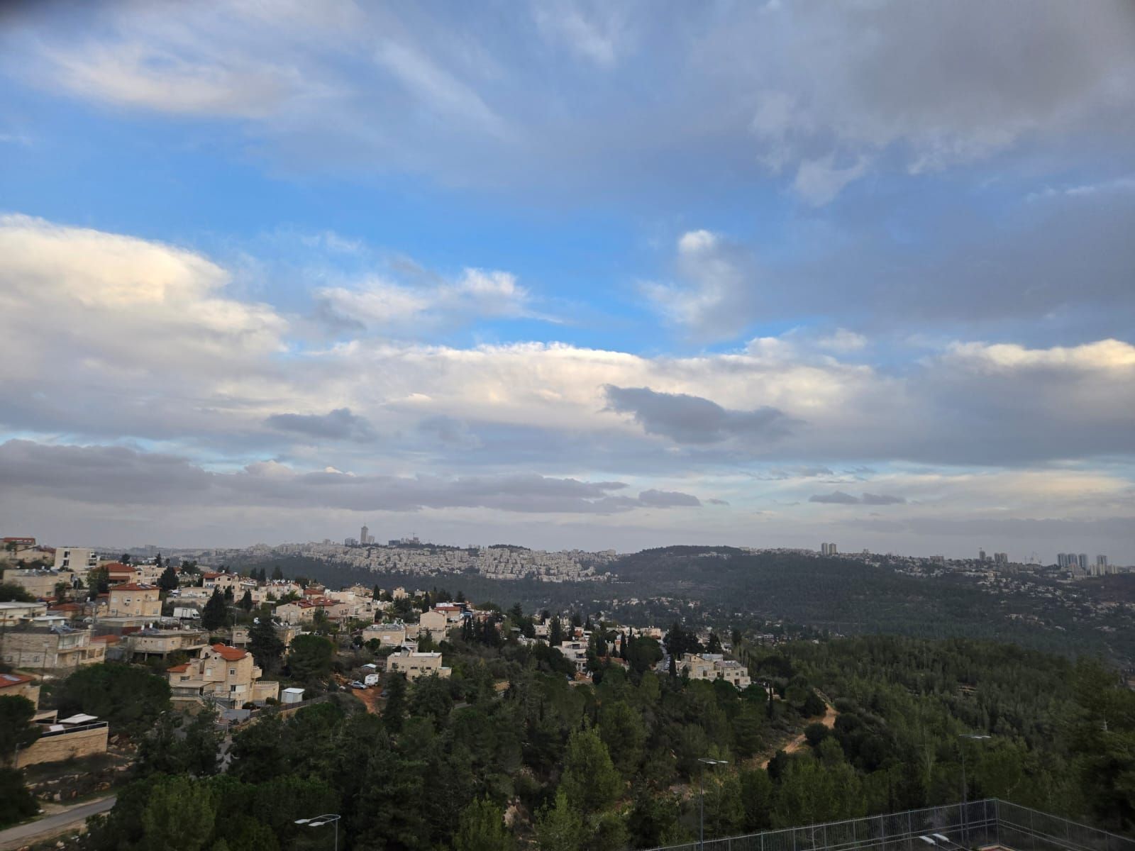 השקד - 3