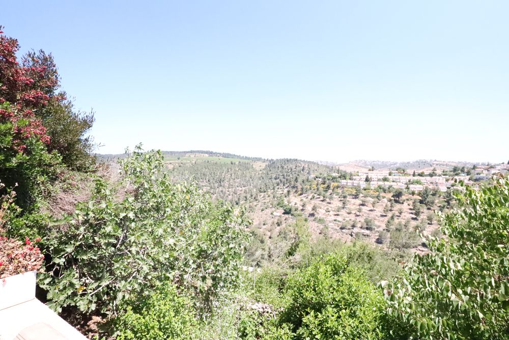 יסמין - 4