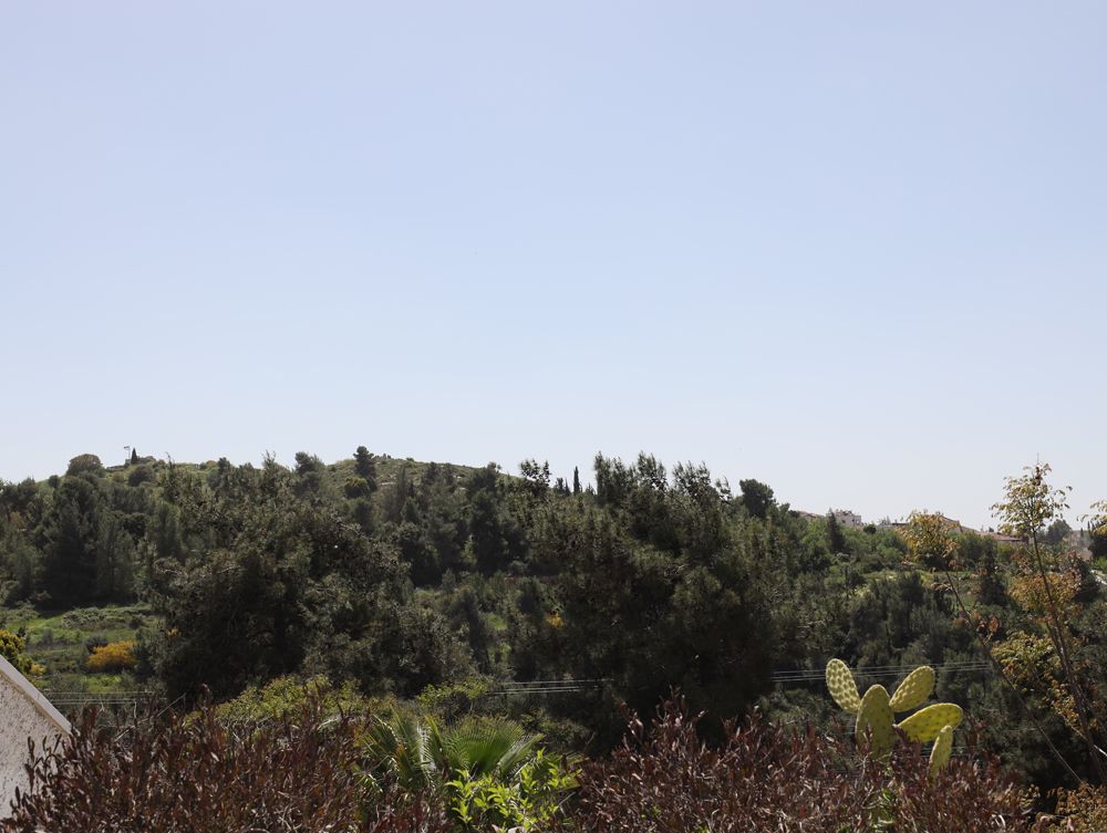 קרן היסוד - 2