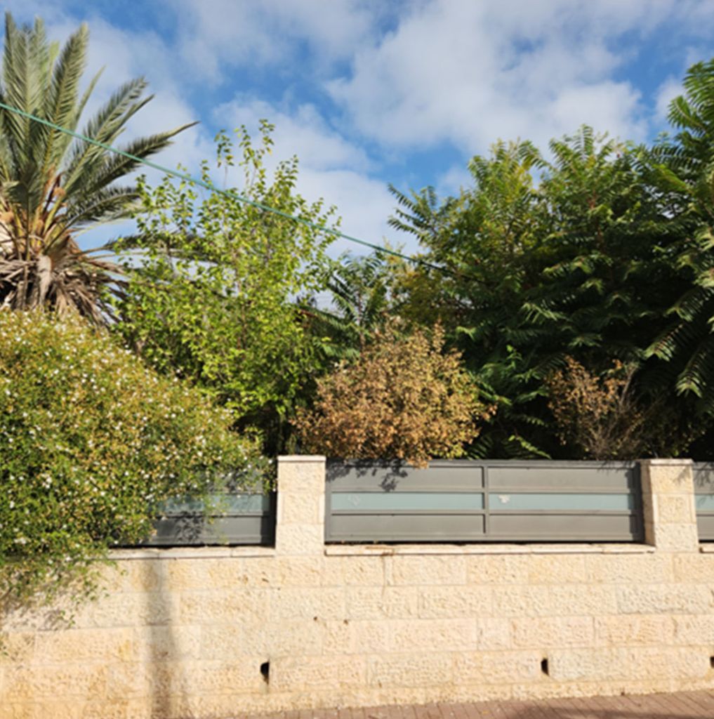 תדהר - מבוא - 2