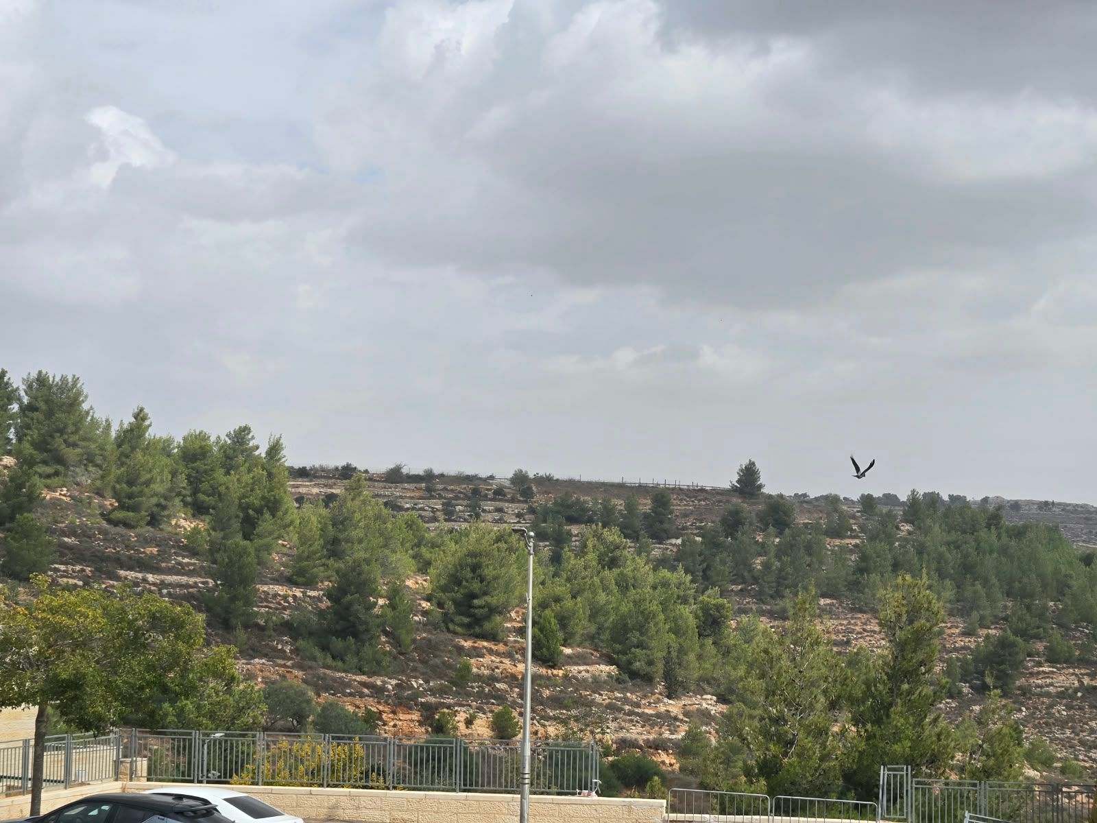 החושן - ז - 3