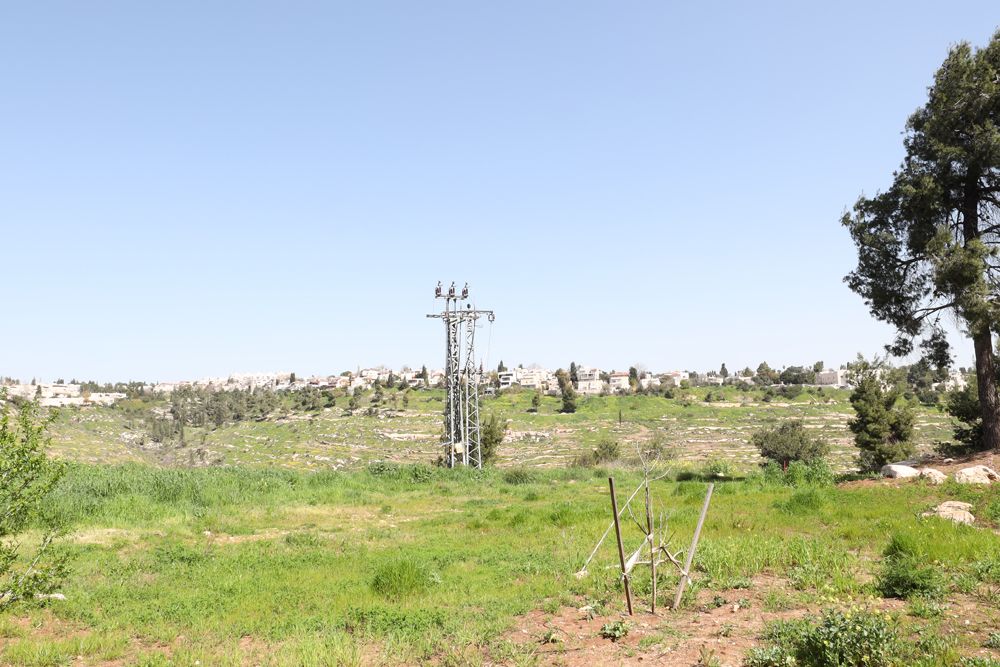 ארזה - 4