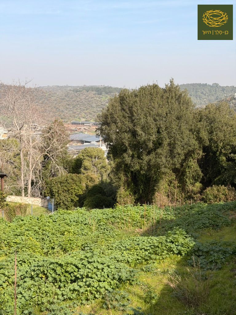 הכרמל - 1