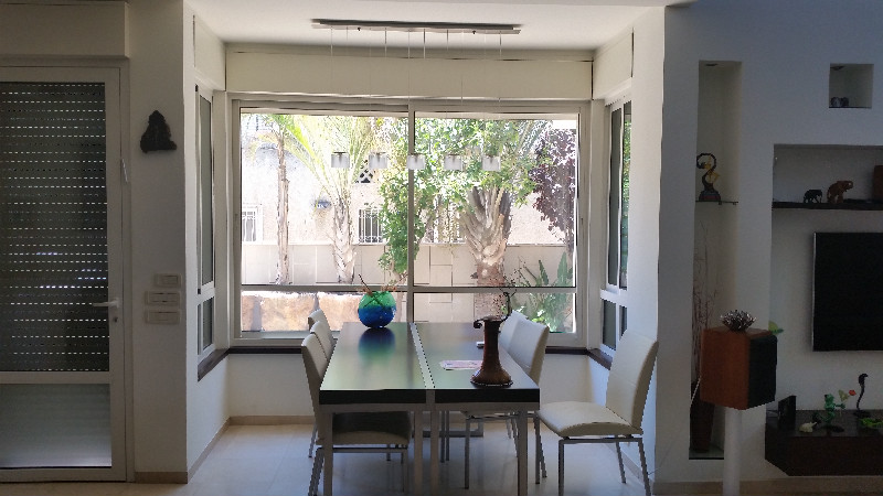 זייד - 4
