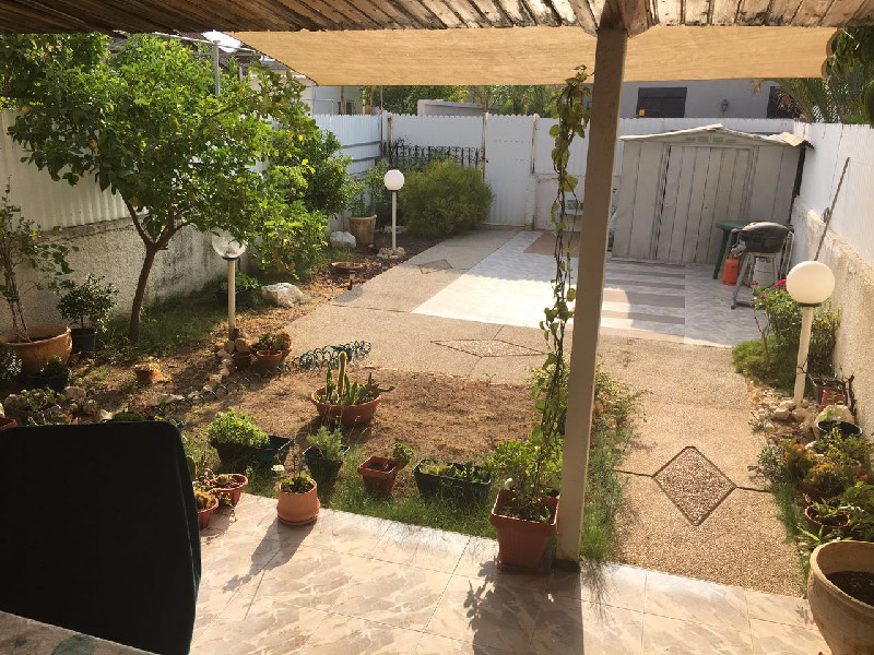 האלונים - 2