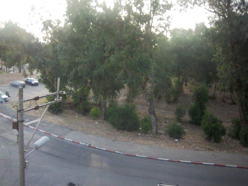 בן צבי - 6