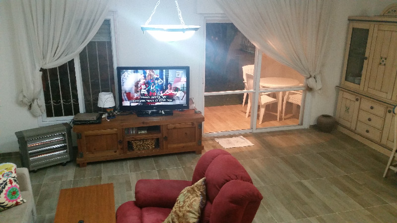 אקליפטוס - 5