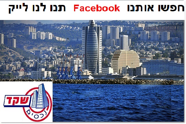 אביגדור - 3