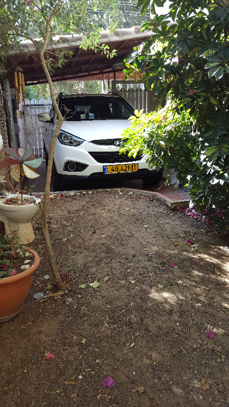 חומה ומגדל - 5