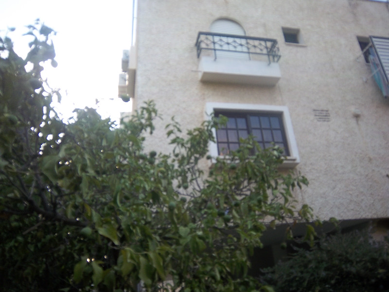זייד - 8