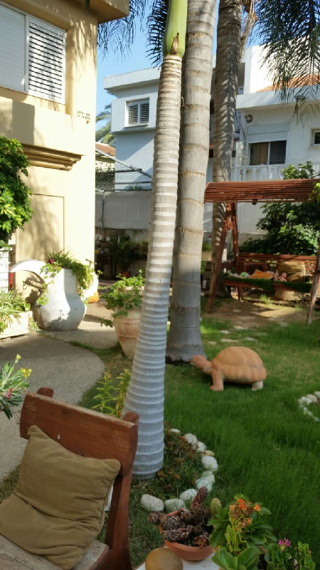 מירון - 2