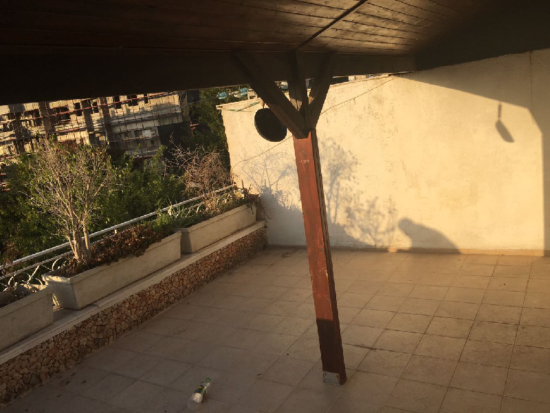 דפנה - 6
