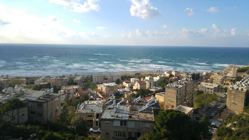 הלפרין - 2