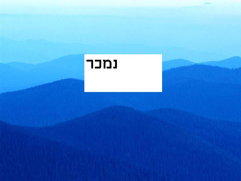 חט אלכסנדרוני - 2