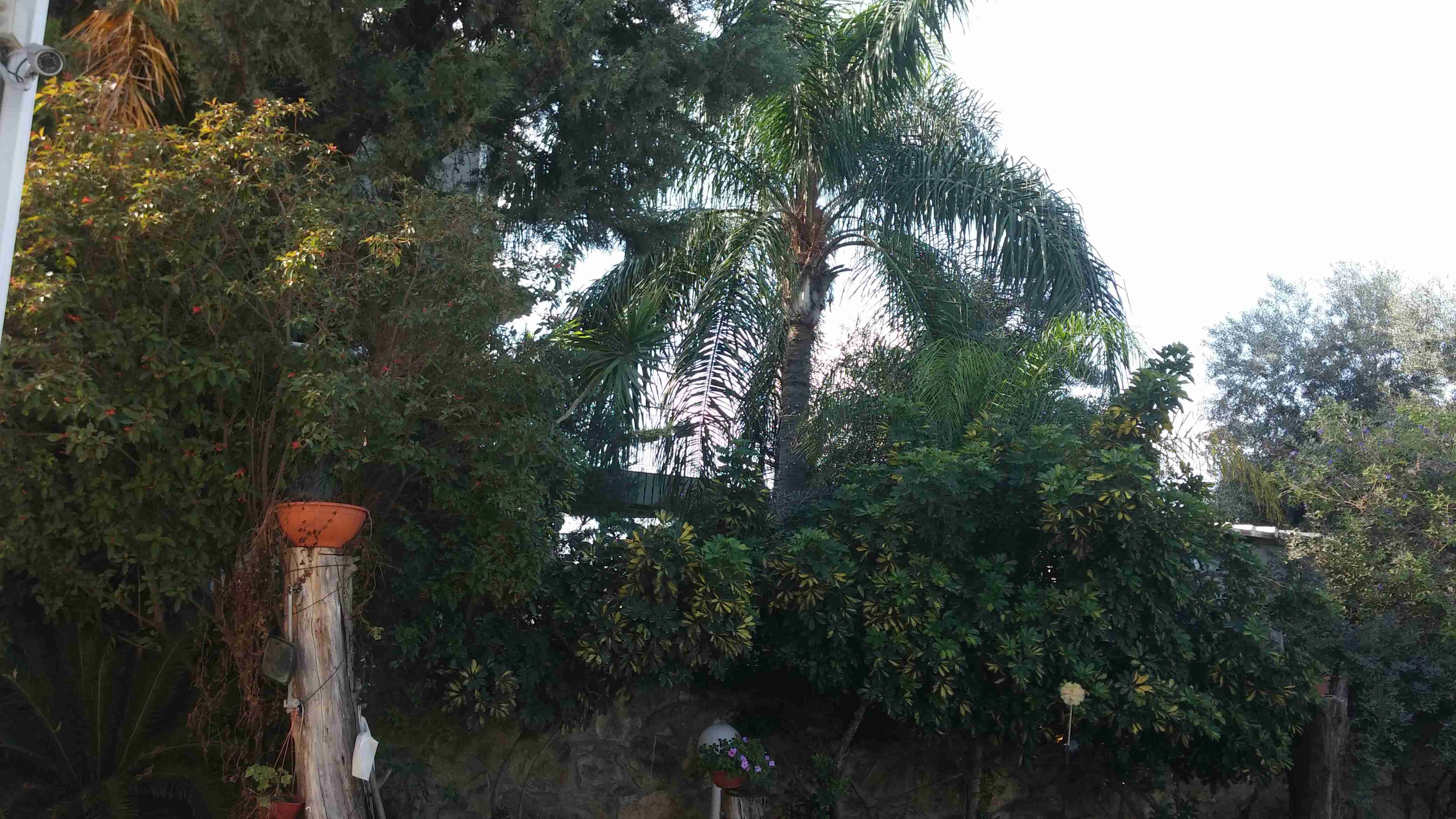 יוסי בנאי - 10