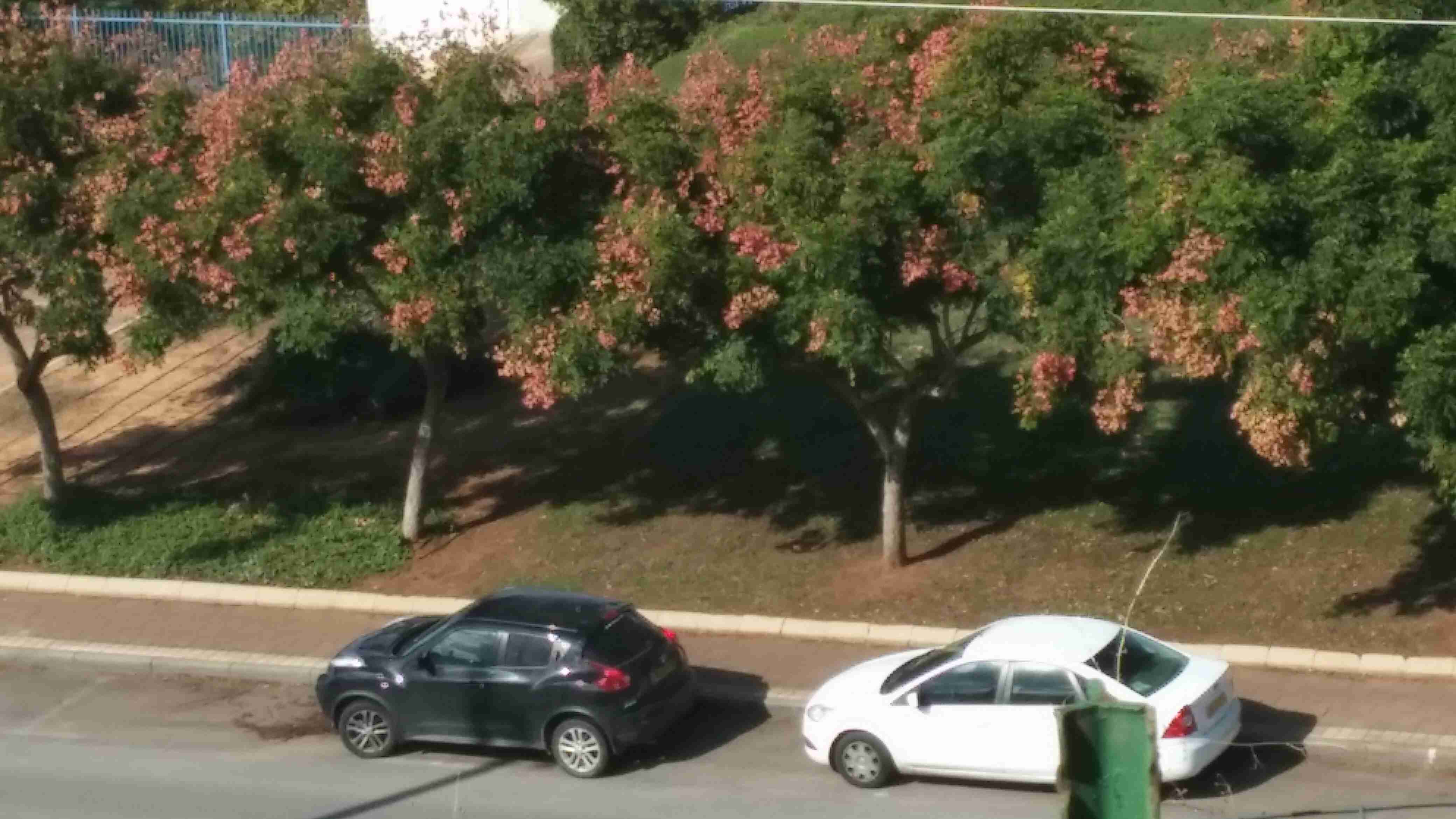 יוסי בנאי - 14