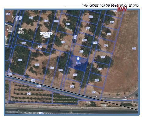 ביאליק - 2