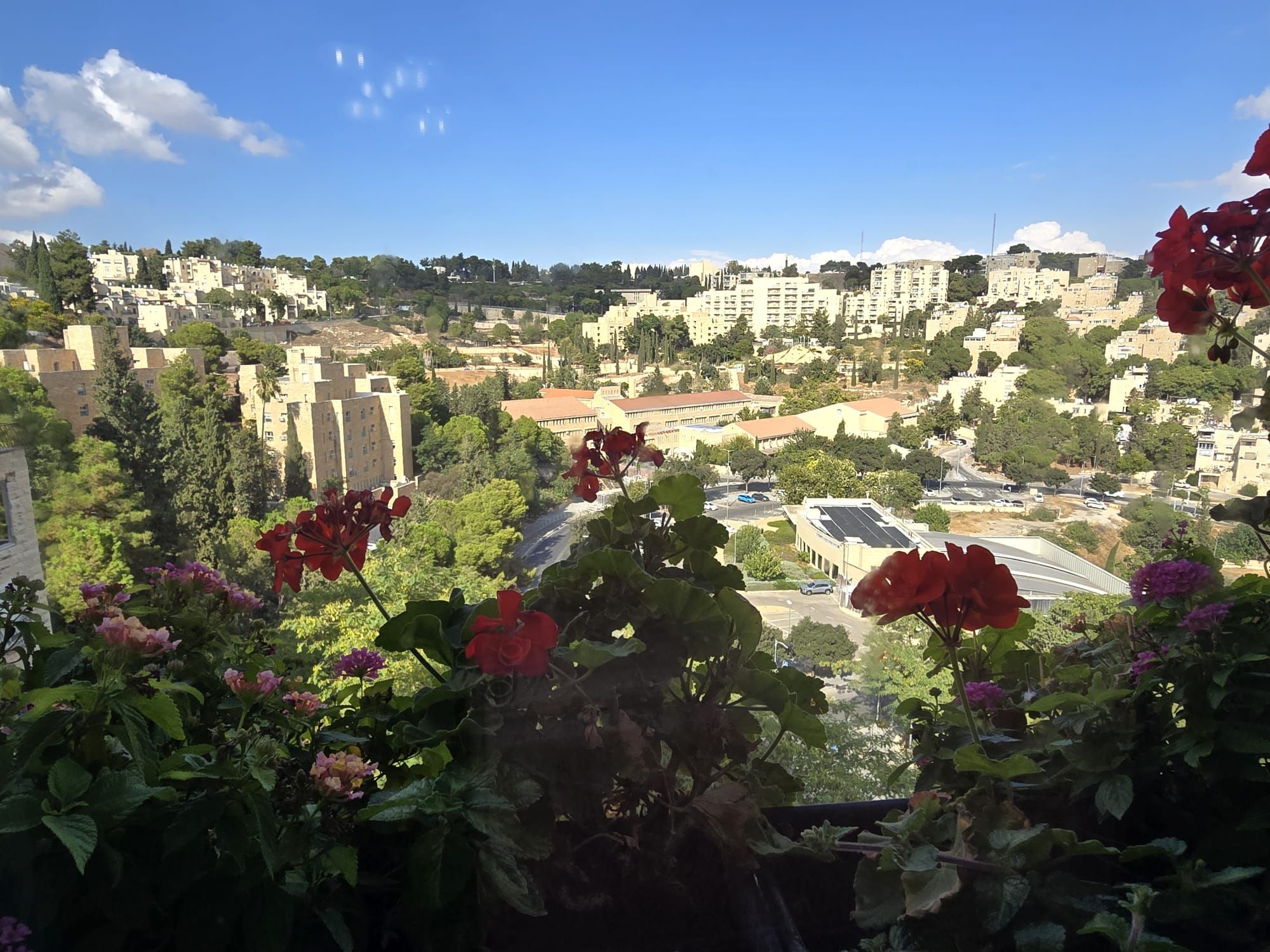 אלקחי מרדכי - 26