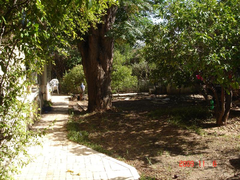 אברבנאל - 2