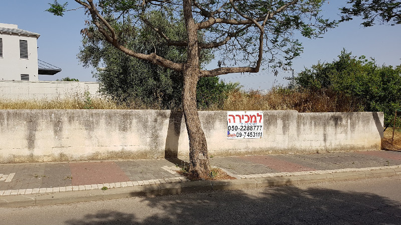 אלקלעי - 4