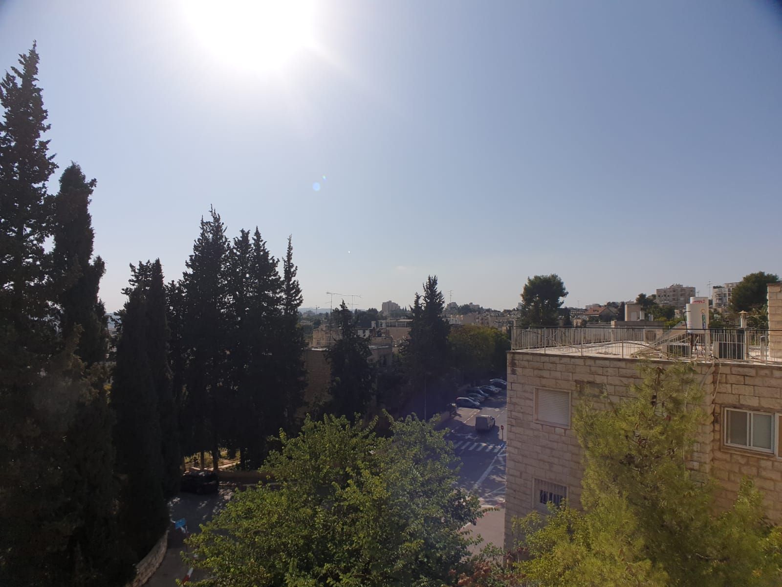 כהן אלי - 6