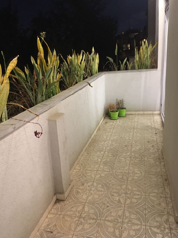 שלמה המלך  - 2
