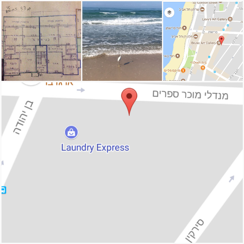 מנדלי - 7