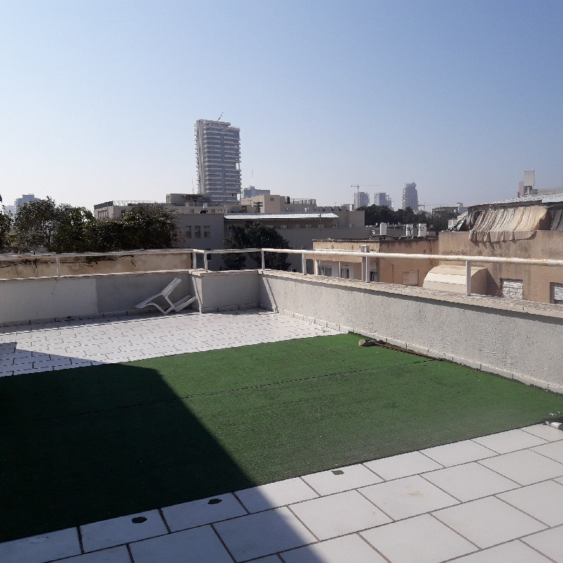ויזל - 3