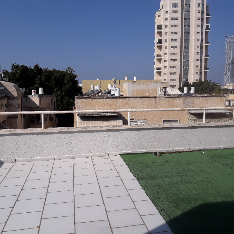 ויזל - 4