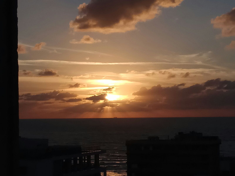 רופין - 2